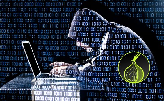 Tor, garanzia di libertà o strumento del crimine online?