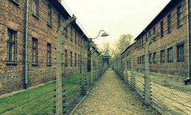 #POKEMONMANIA. L'App entra ad Auschwitz: ora c'è anche l'esca "gas"