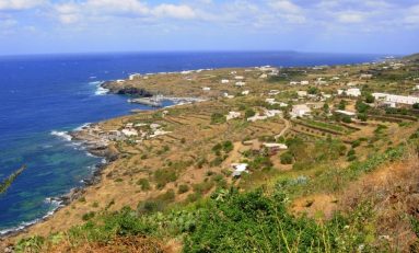 Pantelleria, piantare 10.000 alberi per far rinascere l'isola