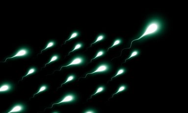 Lo sperma di un uomo defunto potrebbe essere donato?