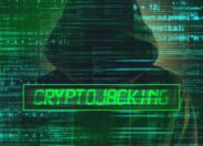 Cryptojacking: attenzione a Diicot-Brute